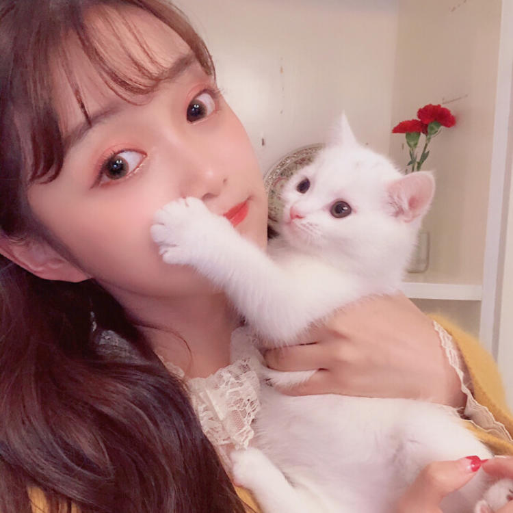 斋藤一（身份：前新选组第三分队组长、“壬生狼”） - 日剧双语字幕在线观看 - APP看视频